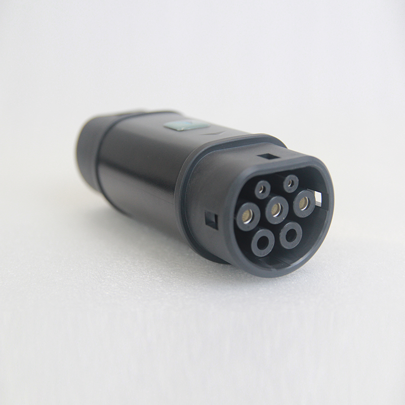 gbt t2 (4)